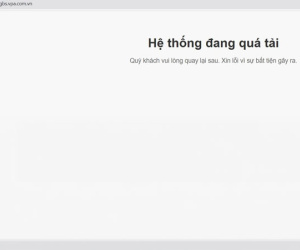 Tạm dừng đấu giá biển số xe do lỗi kĩ thuật