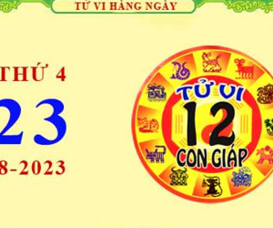 Tử vi 12 con giáp thứ 4 ngày 23/8/2023: Tý khách quan, Ngọ bất cẩn