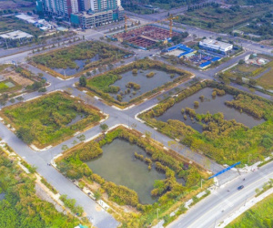Doanh nghiệp nói gì khi ngưng thi hành các quy định 'cấm cho vay'