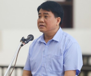 Ngày mai, ông Nguyễn Đức Chung cùng dàn cựu lãnh đạo công ty cây xanh hầu tòa