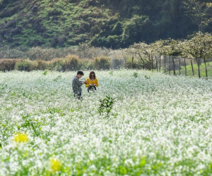 Các tour du lịch ngắn ngày phù hợp cho dịp nghỉ lễ 2/9