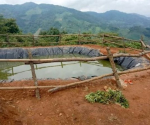Bàng hoàng phát hiện thi thể 3 cháu bé tại hồ trữ nước