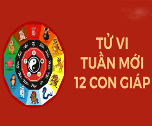 Tử vi tuần mới từ 28/8 - 3/9/2023 của 12 con giáp: Sửu lắm tin vui, Ngọ di chuyển nhiều