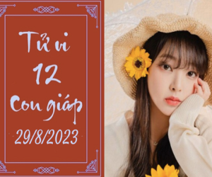 Tử vi thứ 3 ngày 29/8/2023 của 12 con giáp: Ngọ suôn sẻ, Tị thông minh