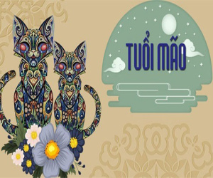 Xui xẻo đổ xuống đầu, 4 con giáp gặp HẠN nhiều phen trầy da tróc vảy trong tuần này