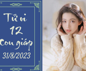 Tử vi thứ 5 ngày 31/8/2023 của 12 con giáp: Mão rủng rỉnh, Sửu gặp may