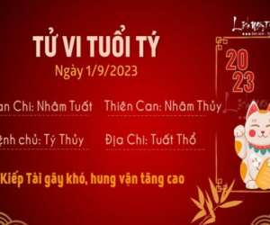 Tử vi 12 con giáp hôm nay - thứ 6 ngày 1/9/2023: Thìn sa sút, Mùi chịu áp lực