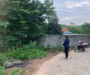 Nguyên Chủ tịch huyện tử vong trong bụi cây sau một đêm mất tích