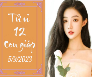 Tử vi thứ 3 ngày 5/9/2023 của 12 con giáp: Tuất vui tính, Tý chu đáo