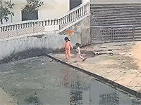 Người đàn ông gần 70 tuổi nhưng có pha xử lý nhanh gọn sau tiếng gào khóc của bé gái bên cạnh ao