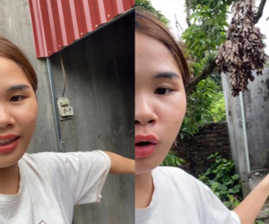 Trở lại thành phố sau nghỉ lễ, cặp vợ chồng hốt hoảng khi nhìn vào nhà tắm