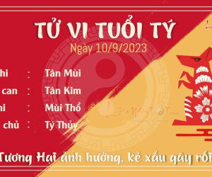 Tử vi Chủ nhật ngày 10/9/2023 của 12 con giáp: Thìn tỉnh táo, Tị phát triển