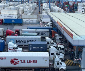 Hàng trăm container chuối, mít, sầu riêng bất ngờ bị 'tuýt còi' xuất Trung Quốc