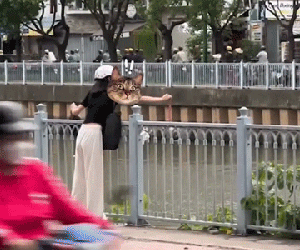 Clip cô gái phóng sinh cua biển xuống sông hút hơn 3 triệu lượt xem cùng rất nhiều bình luận 'dở khóc dở cười'