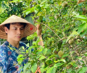 'Nam thần màn ảnh' Trí Quang âm thầm ly hôn, U50 sống một mình trong nhà vườn 800m2, vui thú điền viên