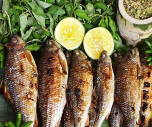 Thưởng thức cá niên đặc sản Bình Định, món ăn tươi ngon không cần chế biến cầu kỳ