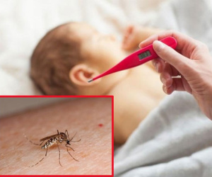 Dịch sốt xuất huyết ở Hà Nội: Số ca mắc tăng kỷ lục, thêm một người tử vong