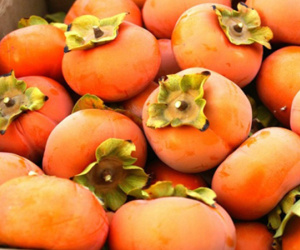 '7 không' cần tuân thủ tuyệt đối khi ăn loại quả đặc sản mùa thu
