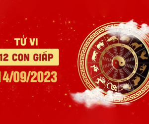 Tử vi thứ 5 ngày 14/9/2023 của 12 con giáp: Sửu rủng rỉnh, Mão căng thẳng