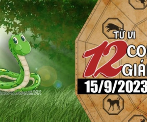 Tử vi 12 con giáp hôm nay - Thứ 6 ngày 15/9/2023: Mùng 1 đầu tháng Sửu chịu áp lực, Tị chủ động