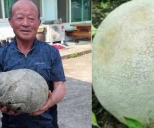 Phát hiện vật thể lạ trông giống tảng đá, bất ngờ về giá trị