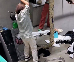 Tăng tiền thuê nhà không được, bà chủ có hành động gây phẫn nộ