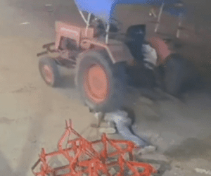 Clip: Tên trộm vụng về bị máy kéo cán trúng người và cái kết khó tin
