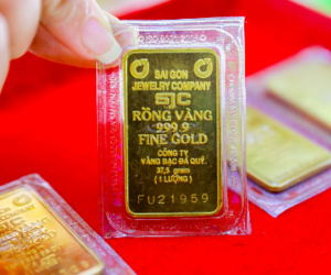 Giá vàng tăng mạnh trong tuần này?