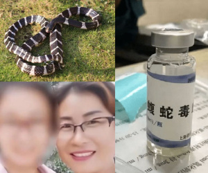 Con gái qua đời trong tức tưởi vì bị rắn độc cắn, người mẹ kiểm tra điện thoại con mới biết chân tướng 'thủ phạm'