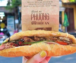 Vi khuẩn Salmonella gây ra vụ ngộ độc bánh mì Phượng nguy hiểm ra sao?