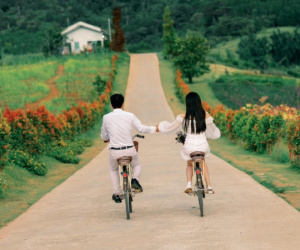 Truy tìm 'con đường nhân duyên' với khung cảnh đầy chất thơ ở Đà Lạt
