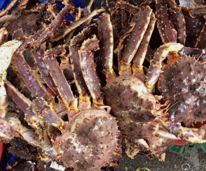Giảm gần 1 triệu đồng/kg, cua hoàng đế vẫn ế khách