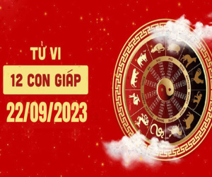 Tử vi thứ 6 ngày 22/9/2023 của 12 con giáp: Thìn gặp thách thức, Hợi tăng trưởng