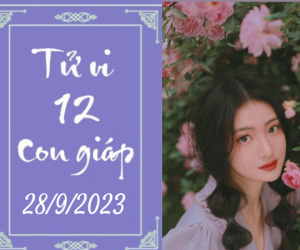 Tử vi thứ 5 ngày 28/9/2023 của 12 con giáp: Thân thận trọng, Tý có lộc