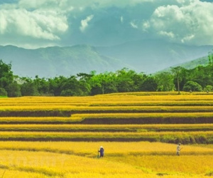 Bình Liêu - Điểm đến hấp dẫn cho người thích khám phá, ưa trải nghiệm