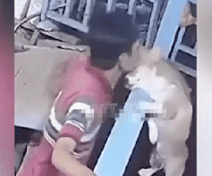Thấy chồng đi nhậu say về nhưng mãi không vào nhà, vợ ra kiểm tra thì tận mắt chứng kiến cảnh tượng khó tin