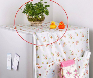 3 món đồ tuyệt đối không đặt trên nóc tủ lạnh
