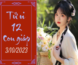 Tử vi thứ 3 ngày 3/10/2023 của 12 con giáp: Thìn giỏi giang, Ngọ mệt mỏi