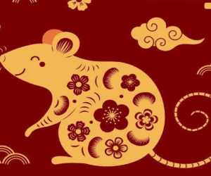 Tuổi Tý hợp màu gì? Cách chọn màu hợp mệnh đem đến vận may và tài lộc