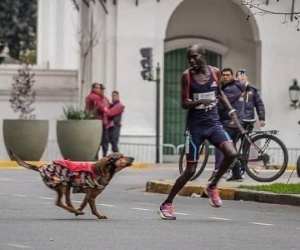 Bi hài cảnh VĐV bị chó đuổi, vuột chức vô địch giải marathon cùng giải thưởng gần 200 triệu VNĐ