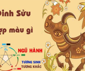 Tuổi Sửu hợp màu gì? Cách chọn màu hợp tuổi Sửu giúp hanh thông phát lộc