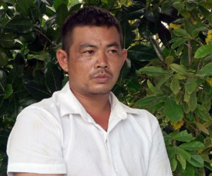 Băng 'siêu trộm' cuỗm hàng loạt cây mai cổ trị giá hàng tỷ đồng ở miền Tây