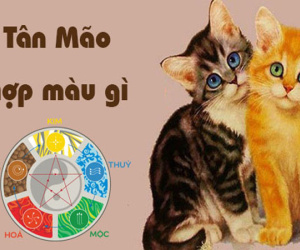 Tuổi Mão hợp màu gì? Cách chọn màu sắc kích hoạt tài lộc