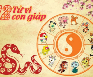 Tử vi 12 con giáp hôm nay - Thứ 6 ngày 6/10/2023: Tý tránh sơ suất, Thân có lợi thế