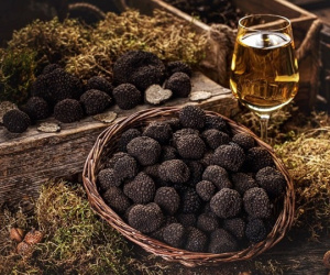 Nấm dại đen sì có gì ngon giá tới nửa tỷ đồng/kg?