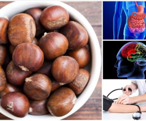 'Vua của các loại quả khô' ăn sống bổ thận, ăn chín bổ tỳ, còn là 'khắc tinh của ung thư'