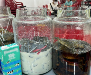 Cho cua Cà Mau 'tắm' sữa tươi, xá xị, chủ quán ở TP.HCM bán 100kg mỗi ngày