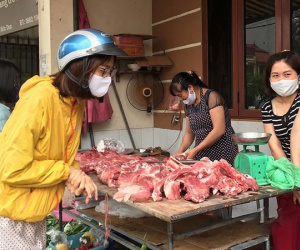 Nhiều trang trại phải bán lợn hơi dưới 50.000 đồng/kg, người nuôi lỗ nặng