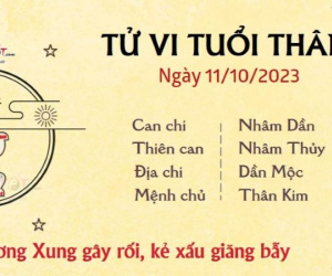 Tử vi 12 con giáp hôm nay - thứ 4 ngày 11/10/2023: Tý vất vả, Thân gặp tiểu nhân