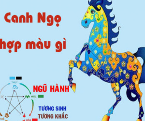 Tuổi Ngọ hợp màu gì? Màu sắc phong thủy may mắn cho tuổi Ngọ